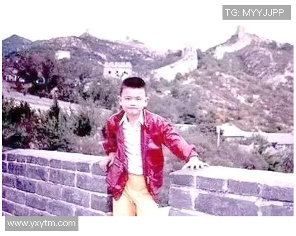 姚明的走廊：从篮球巨星到文化使者的成长之路与人生思考