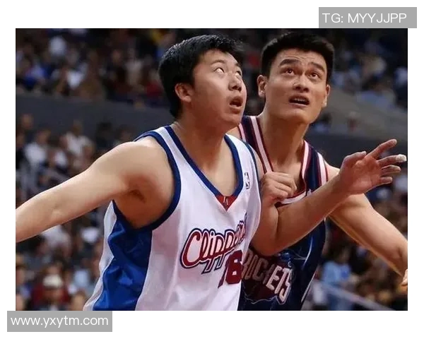 龙拳姚明：从篮球巨星到武术传奇的华丽转身与不屈精神