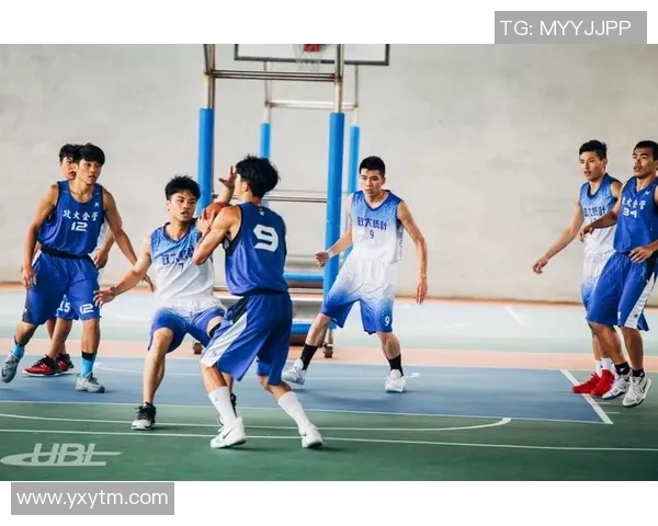 篮球馆内的篮球明星们生动画像展现他们的激情与风采