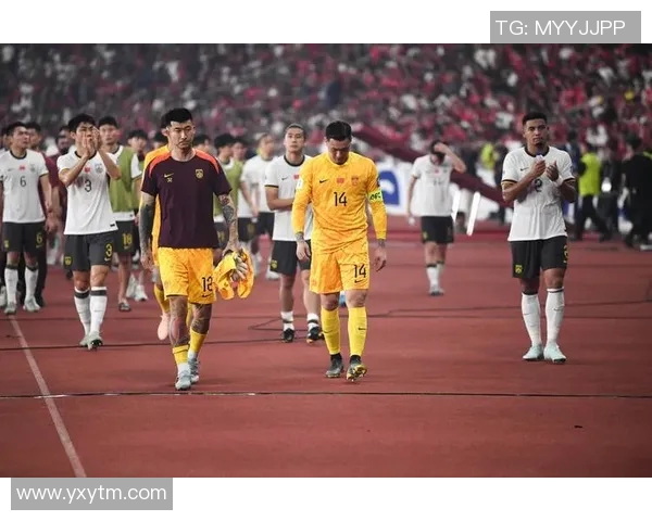 中国国足再次无缘世界杯背后的原因与未来展望分析