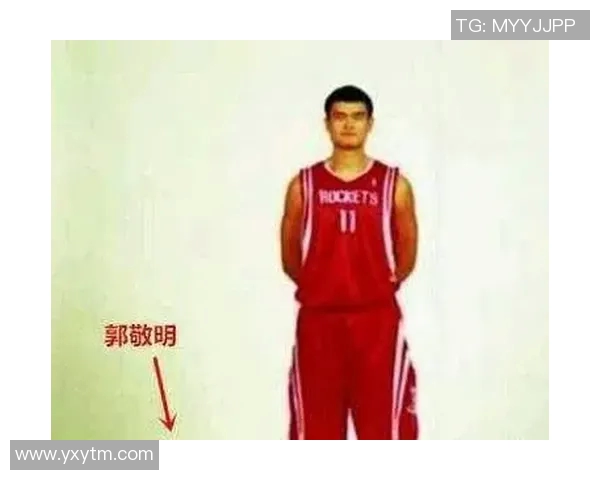 篮球明星搞笑恶搞图片大集合让你捧腹大笑的创意合成作品 篮球明星搞笑恶搞图片大集合让你捧腹大笑的创意合成作品